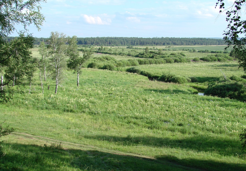 Марково, image of landscape/habitat.