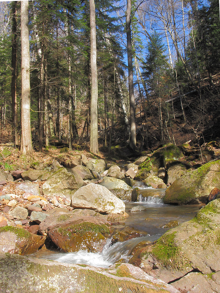 Балка Чёрная, image of landscape/habitat.