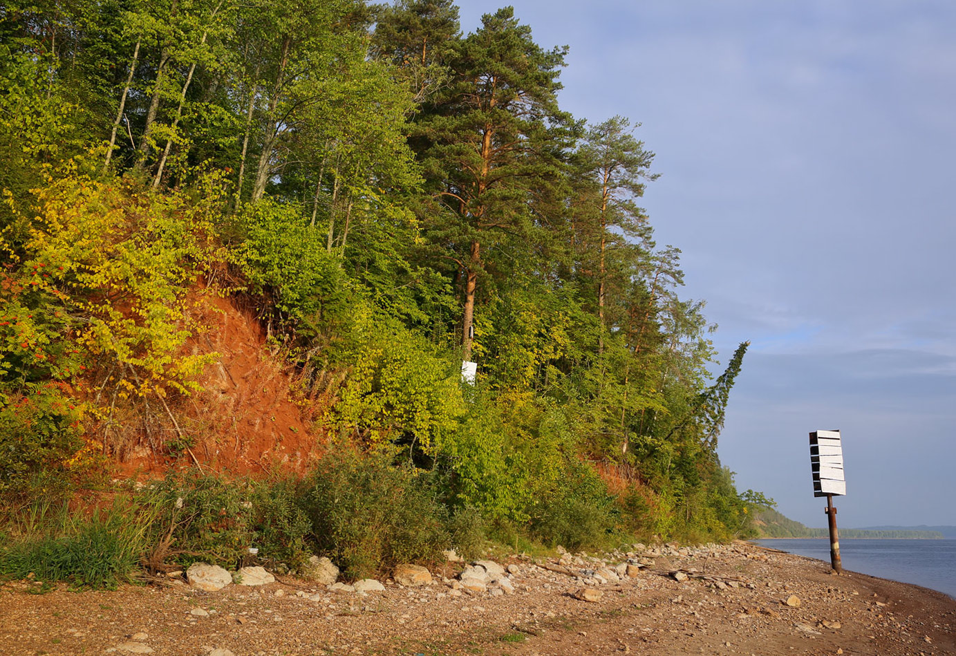 Кунчурихинский бор, image of landscape/habitat.