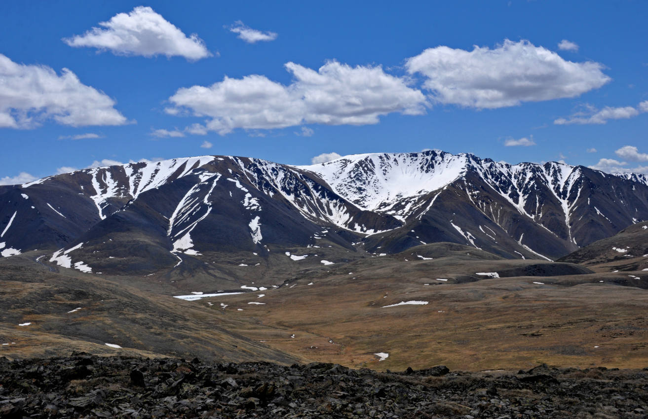 Долина реки Аккаллу-Озек, image of landscape/habitat.