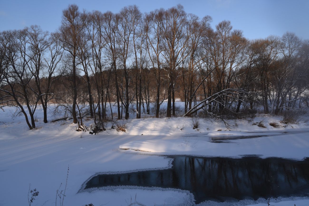 Окрестности деревни Сатино, image of landscape/habitat.