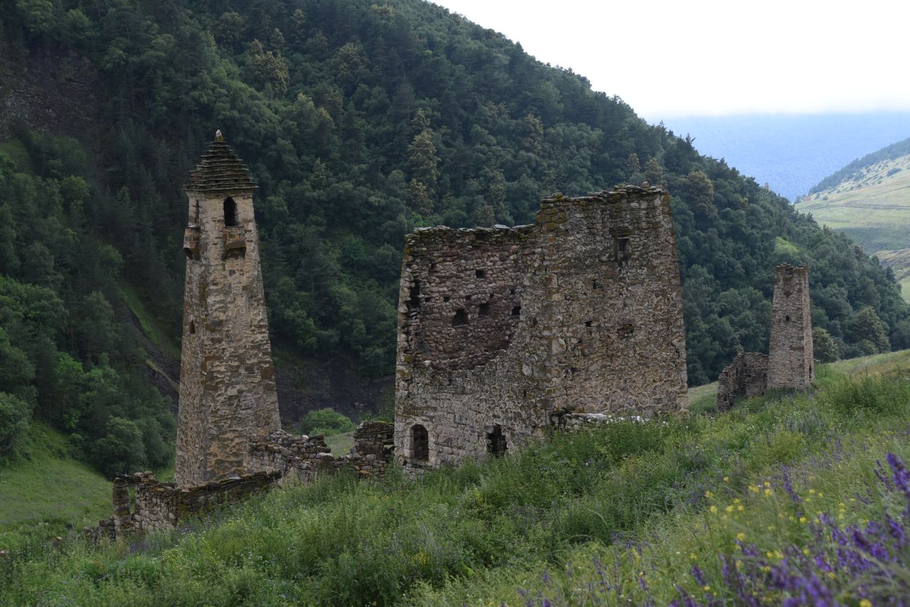 Урочище Хяни, image of landscape/habitat.