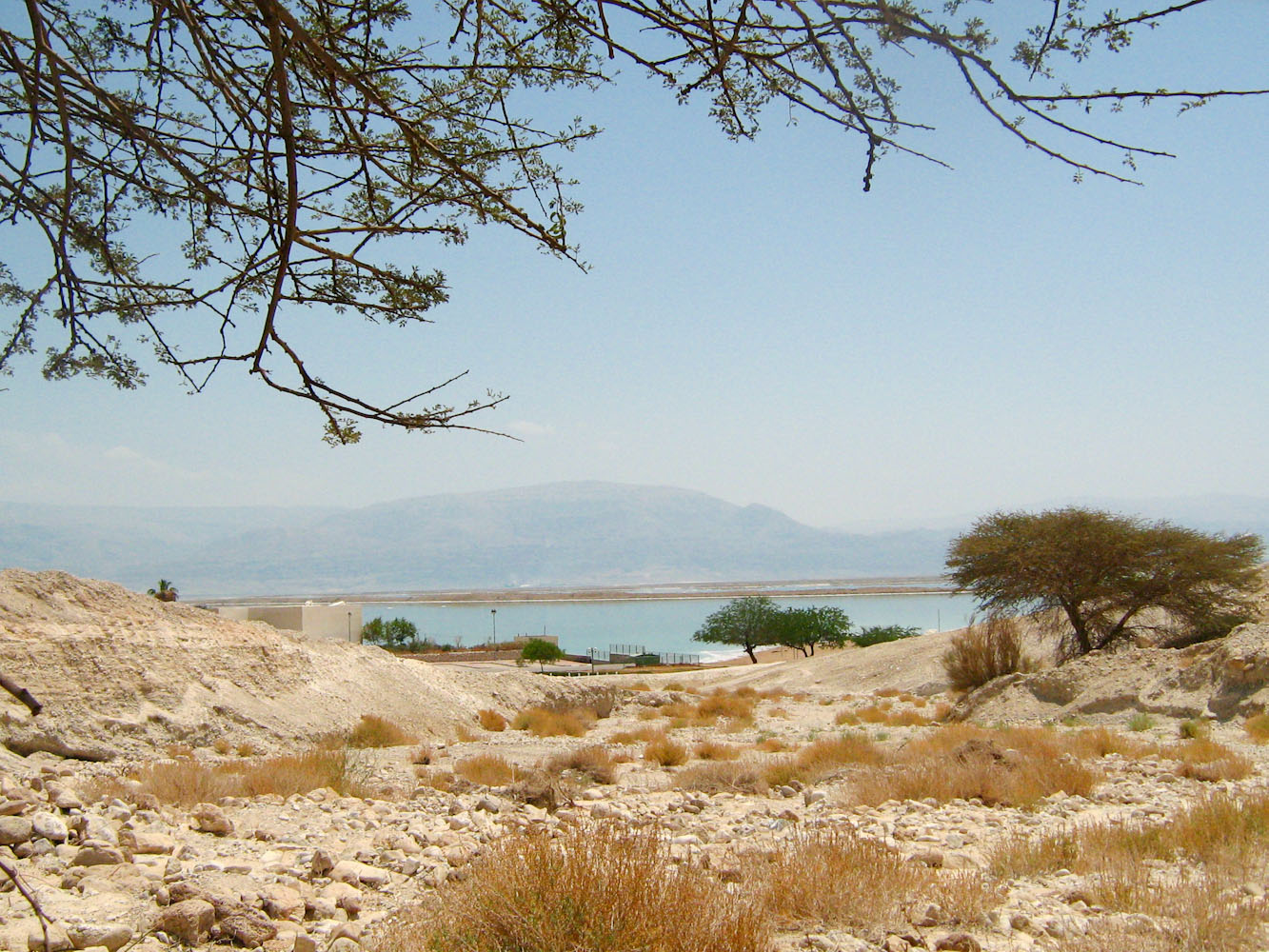 Мёртвое море, изображение ландшафта.