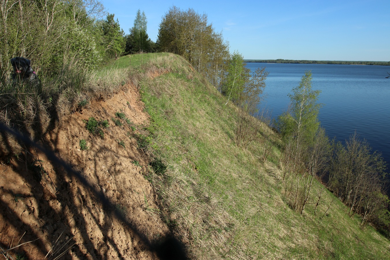 Окрестности Худоярово, image of landscape/habitat.