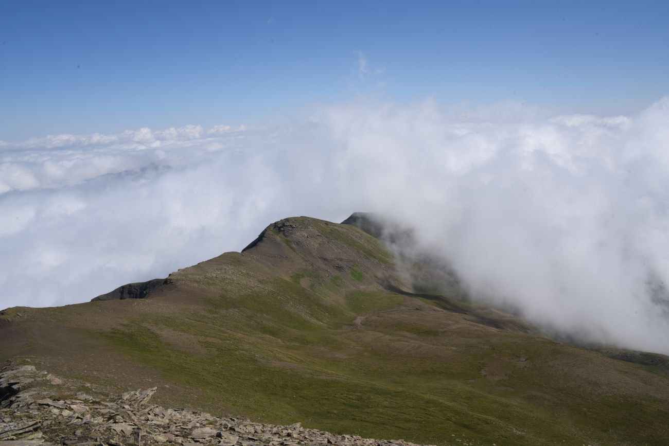 Гора Заинкорт, image of landscape/habitat.