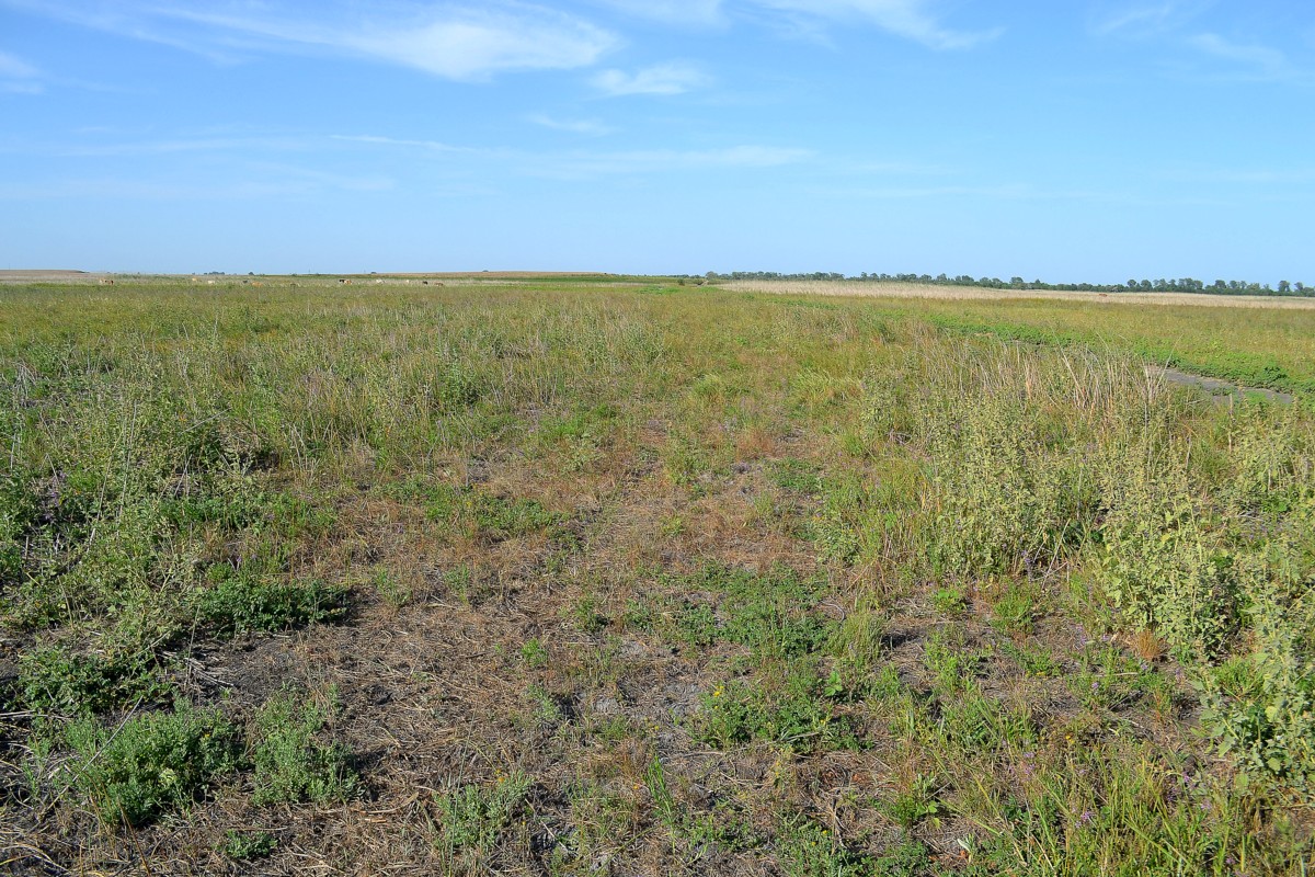 Ямное, image of landscape/habitat.