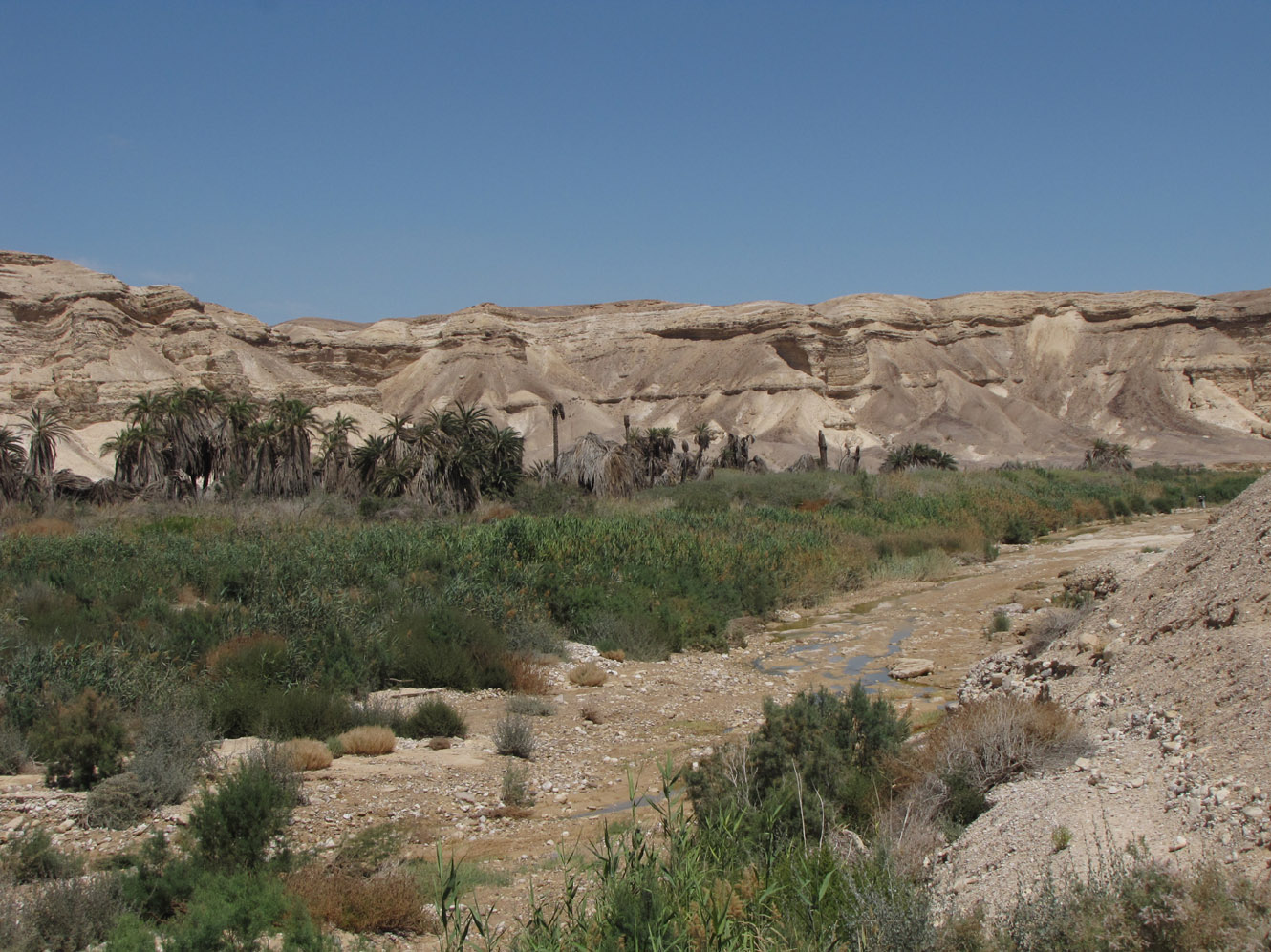 Нахаль Цын, image of landscape/habitat.