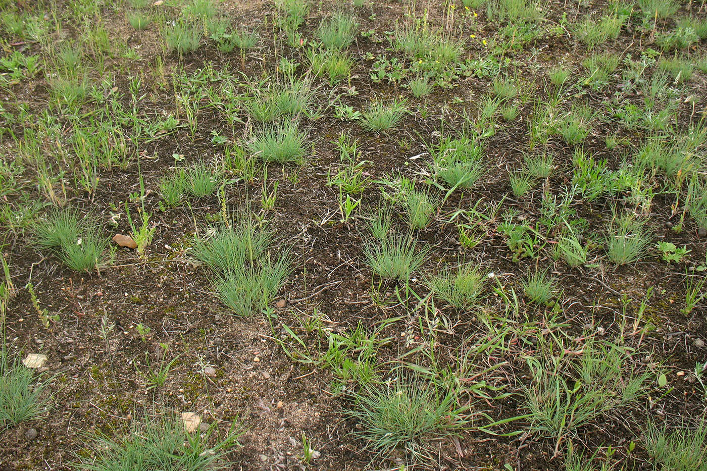 Окрестности д. Лужки, image of landscape/habitat.