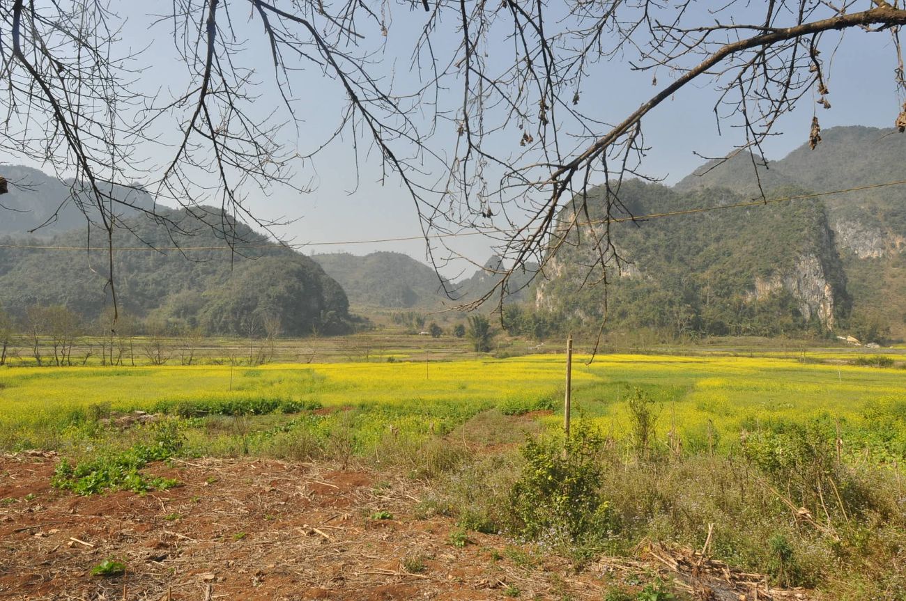 Парк «Guangnan Baimei», image of landscape/habitat.