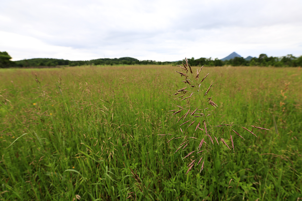 Гора Брат, image of landscape/habitat.