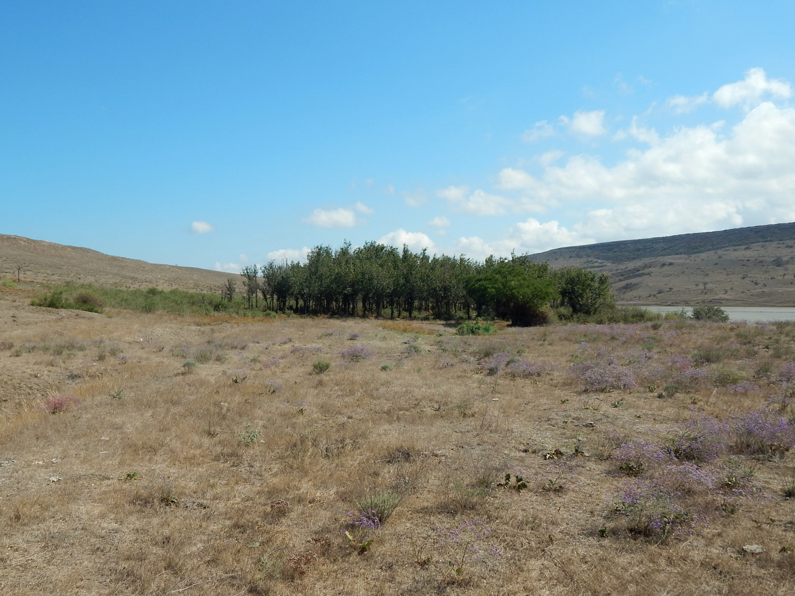 Озеро Чокрак, image of landscape/habitat.