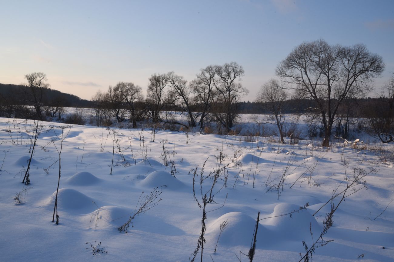 Окрестности деревни Сатино, image of landscape/habitat.