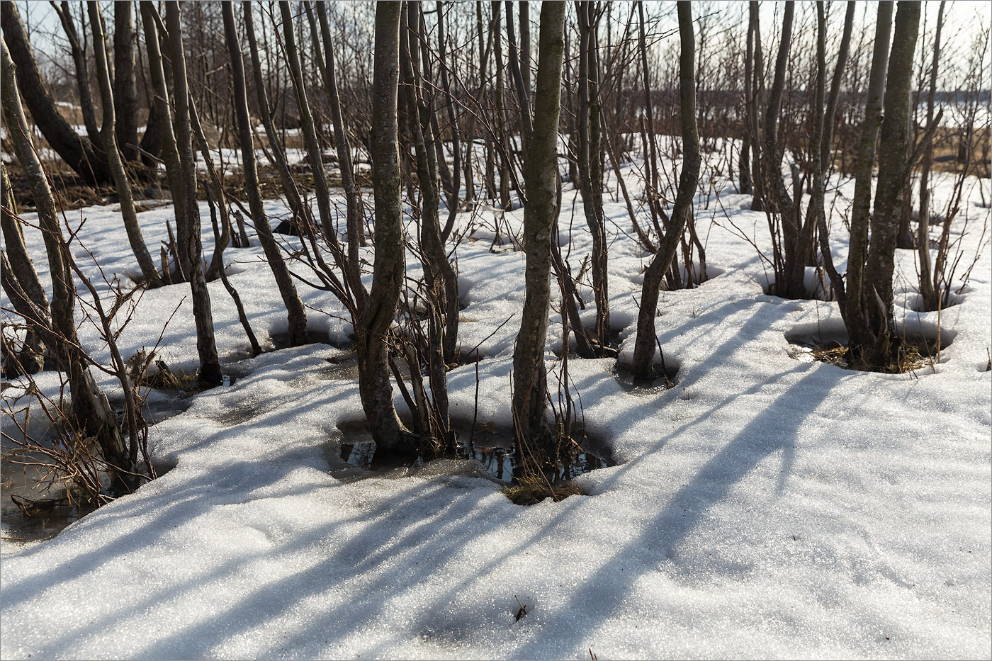 Каравалдай, image of landscape/habitat.