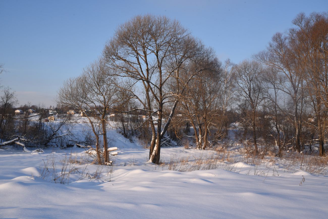 Окрестности деревни Сатино, image of landscape/habitat.