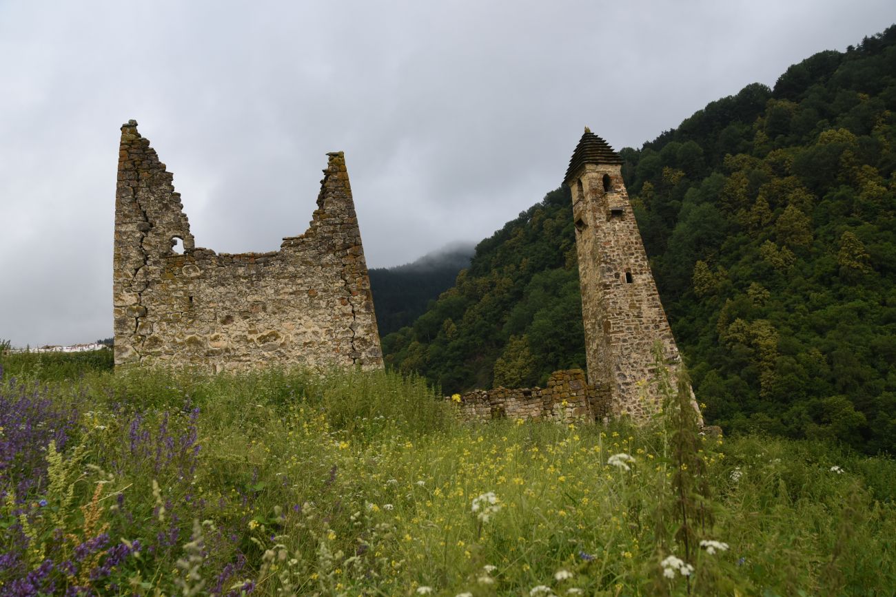 Урочище Хяни, image of landscape/habitat.