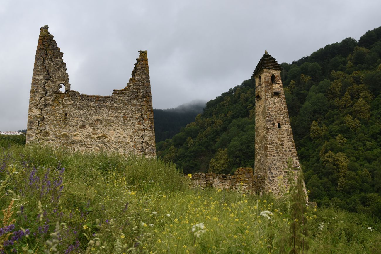 Урочище Хяни, image of landscape/habitat.