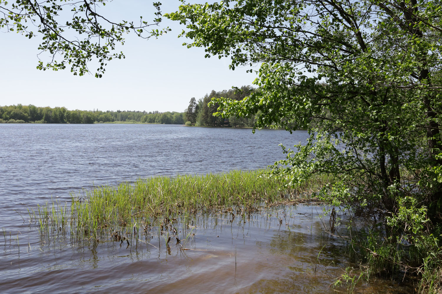 Пустынь, image of landscape/habitat.