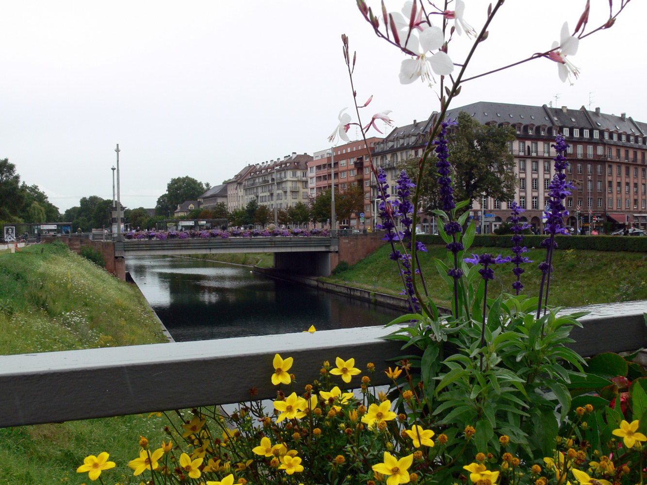 Страсбург, image of landscape/habitat.