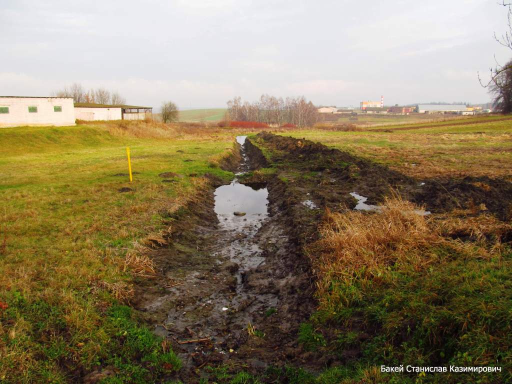 Замковый ручей, image of landscape/habitat.