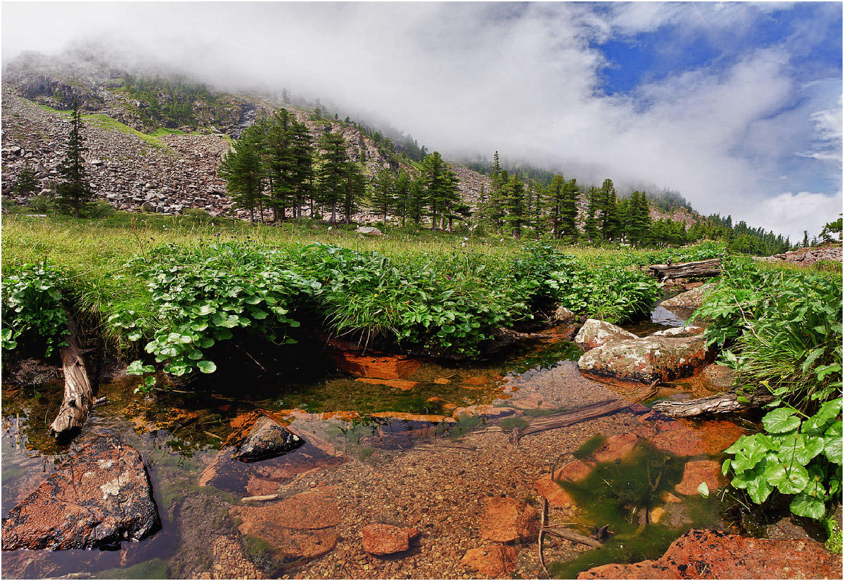 Борус, image of landscape/habitat.