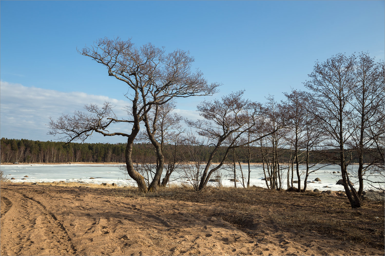 Батарейная бухта, image of landscape/habitat.