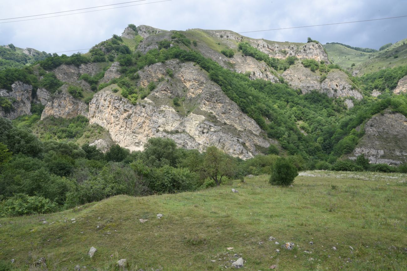 Устье реки Бедык, изображение ландшафта.