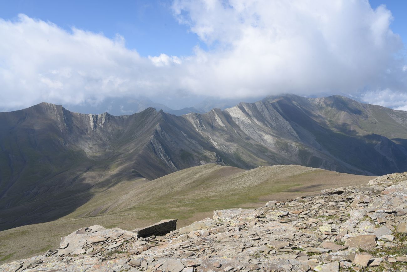 Перевал Заин, image of landscape/habitat.