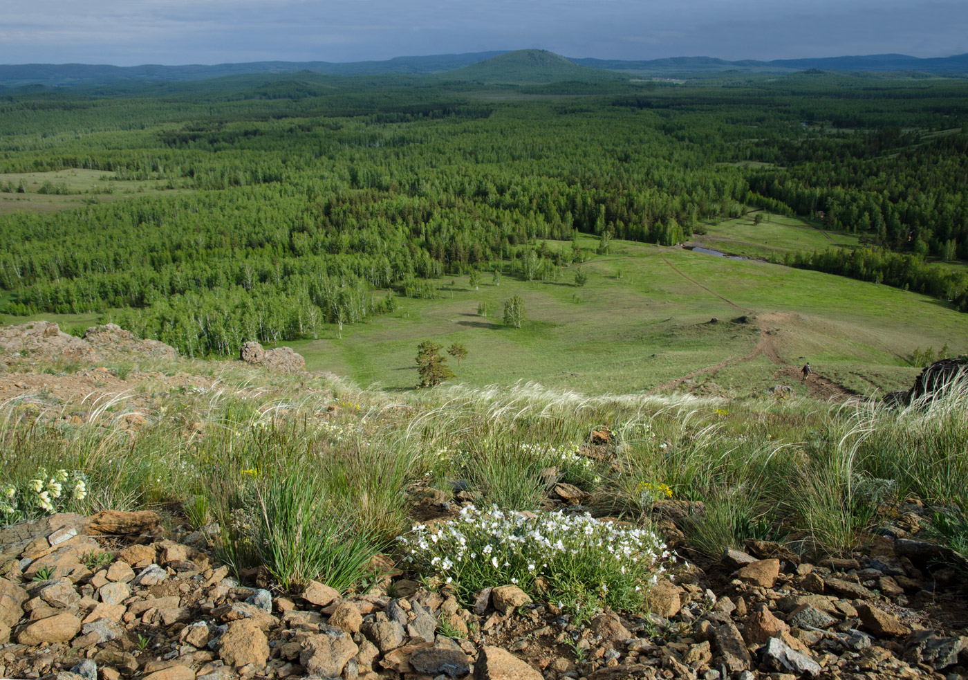 Яльчигулово и окрестности, image of landscape/habitat.