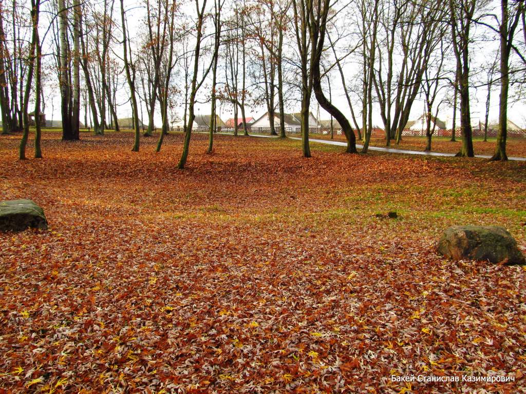 Городской парк, image of landscape/habitat.