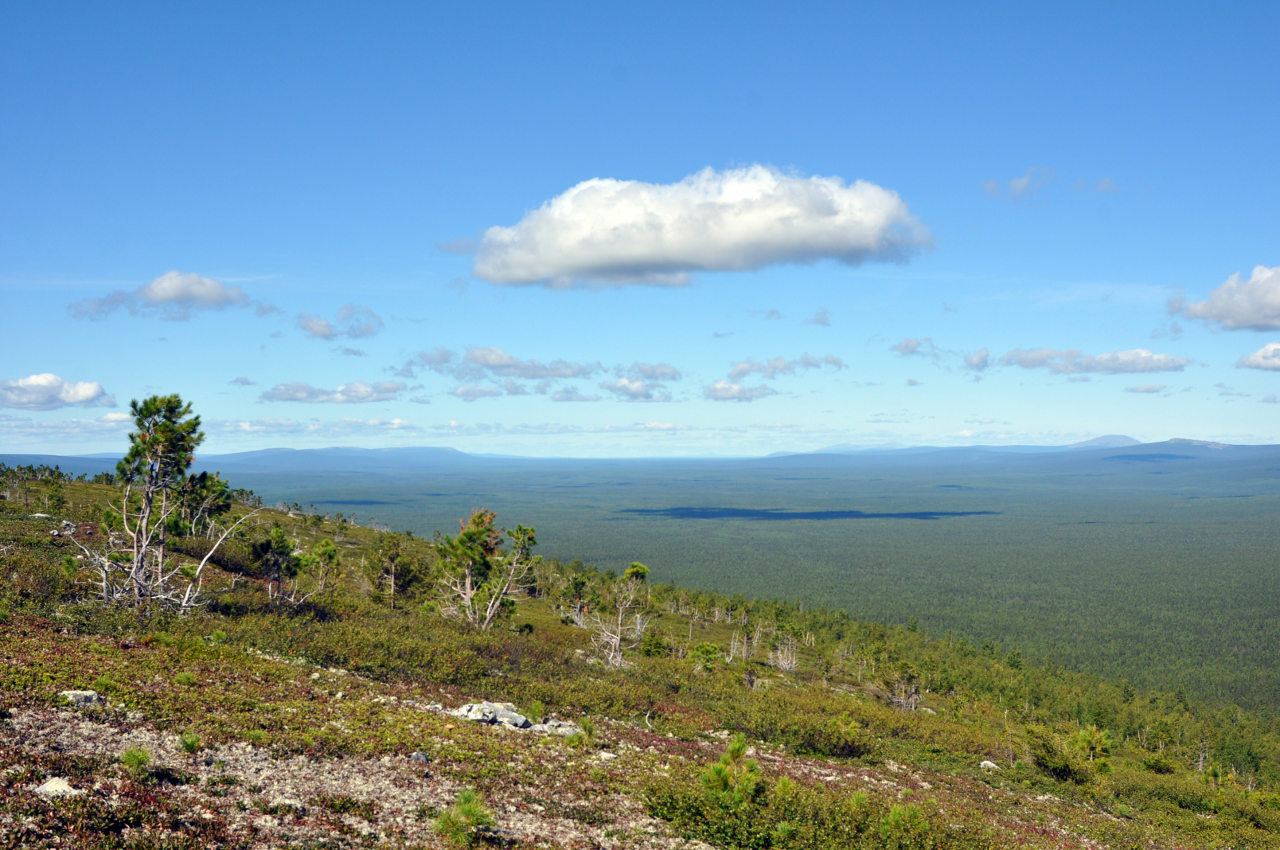 Мань-Пупунёр, image of landscape/habitat.