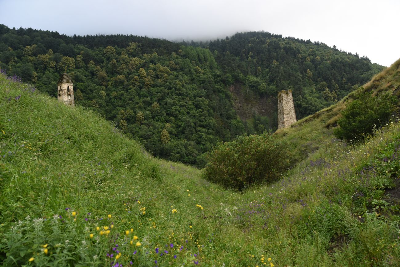 Урочище Хяни, изображение ландшафта.