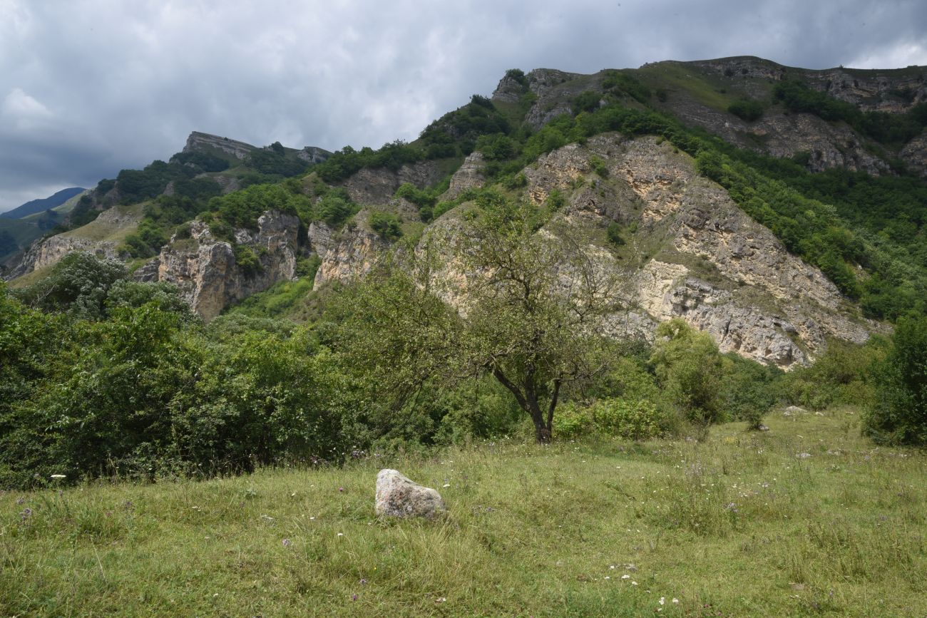 Устье реки Бедык, image of landscape/habitat.