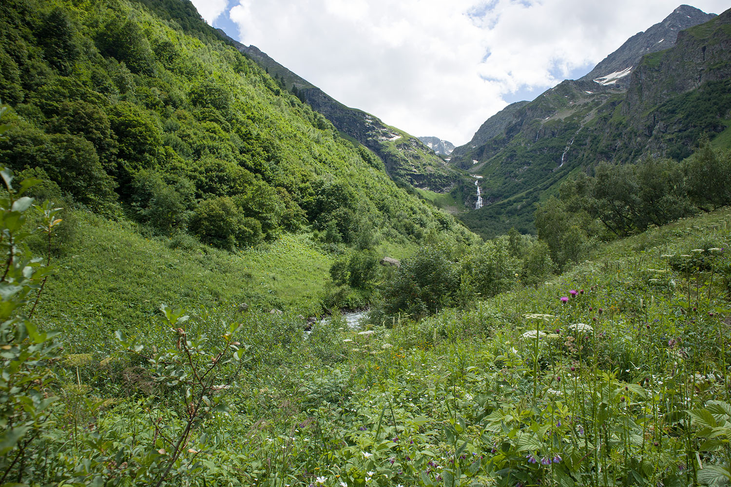 Имеретинское ущелье, image of landscape/habitat.