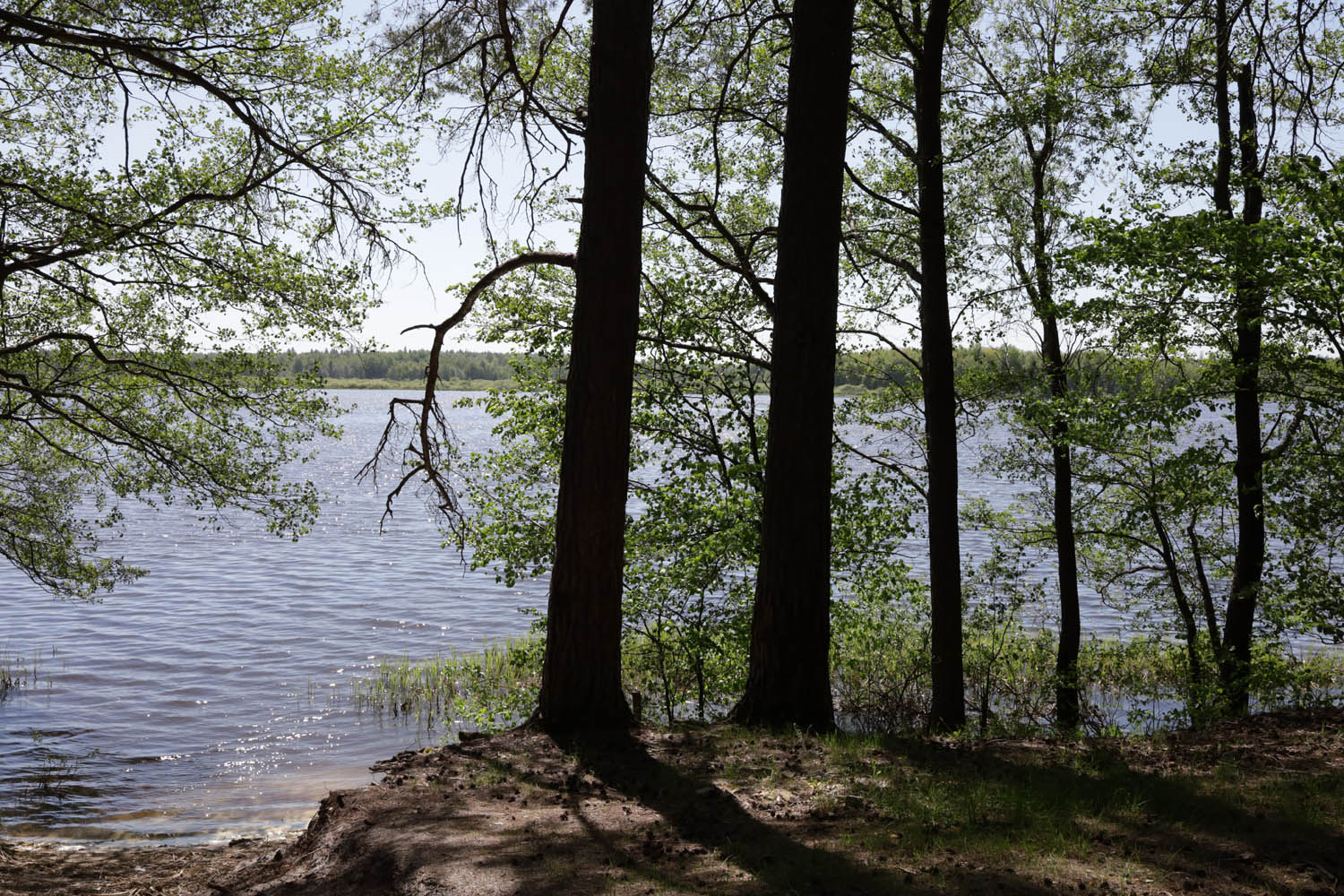 Пустынь, image of landscape/habitat.