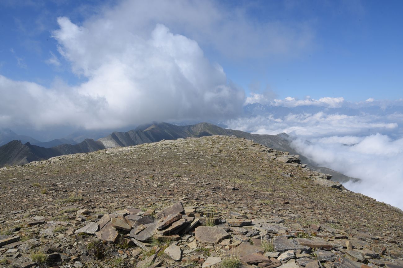 Гора Заинкорт, image of landscape/habitat.