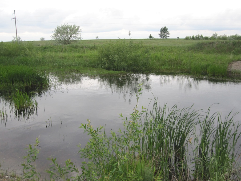 Баское, image of landscape/habitat.