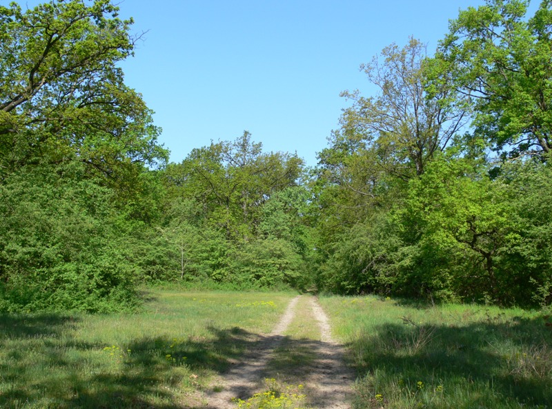 Будайские горы, image of landscape/habitat.