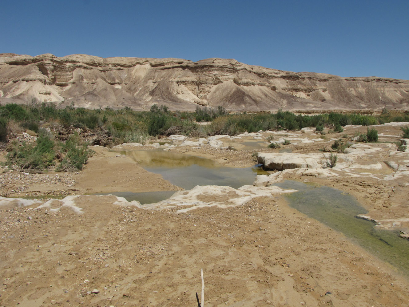 Нахаль Цын, image of landscape/habitat.