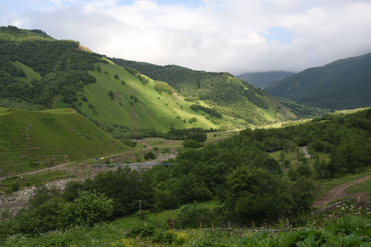 Селение Чайры и окрестности, image of landscape/habitat.