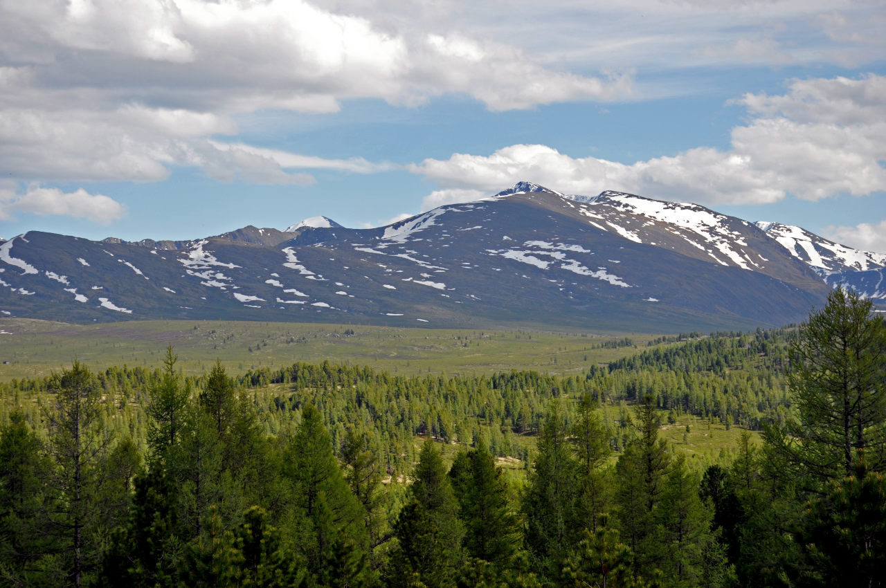 Улаганский перевал, image of landscape/habitat.