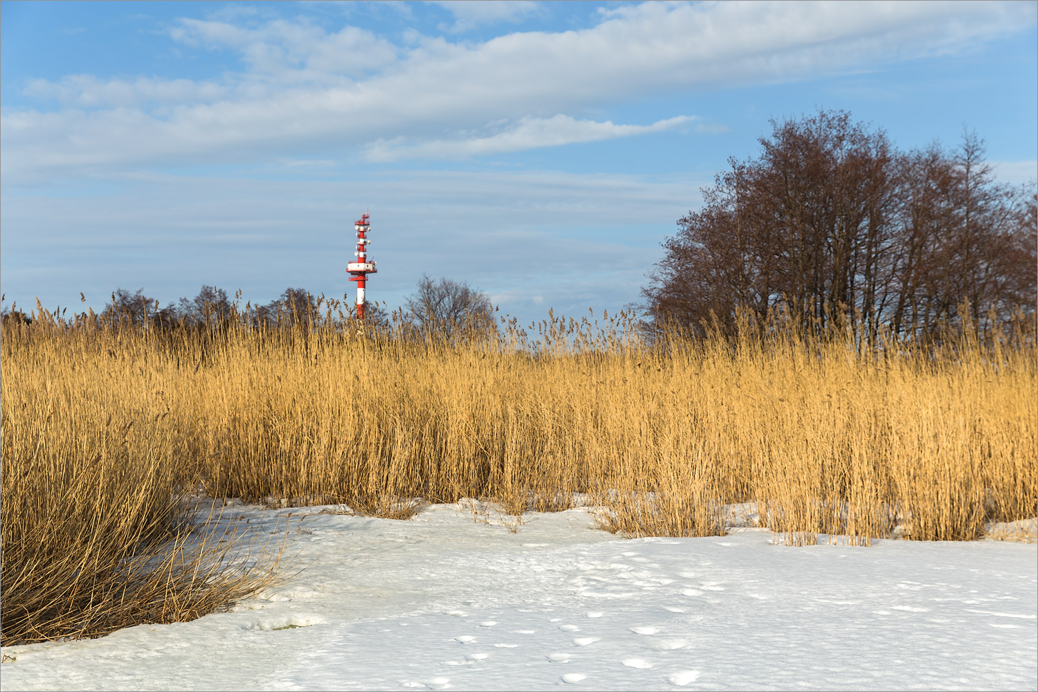 Батарейная бухта, image of landscape/habitat.