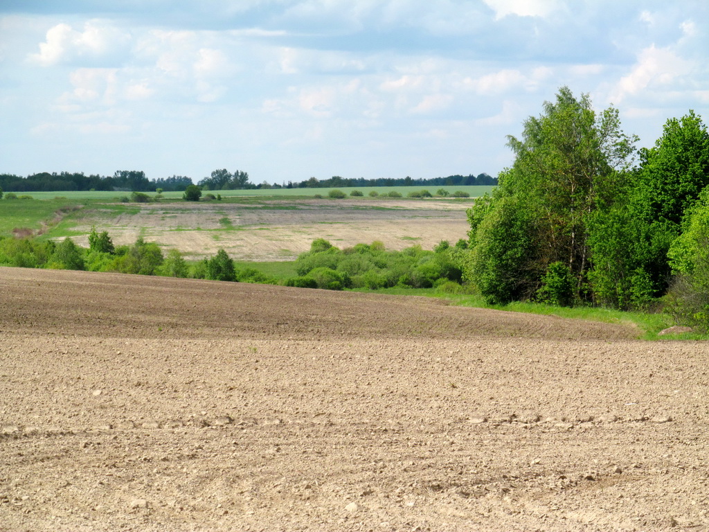 Романюки, image of landscape/habitat.