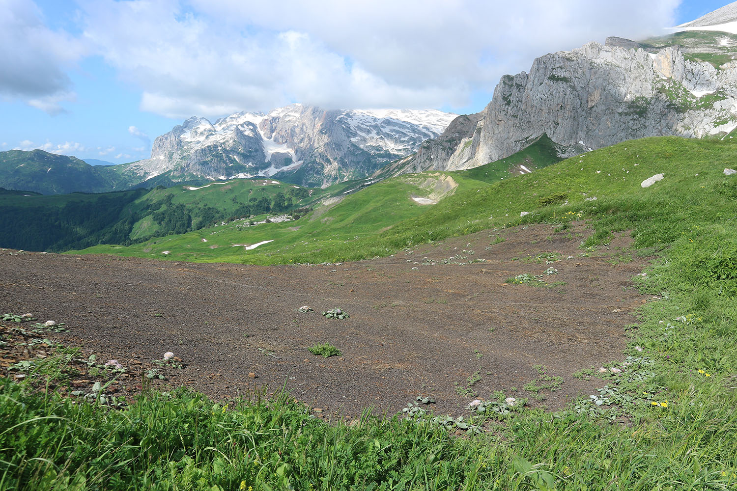 Южный склон горы Гузерипль, image of landscape/habitat.