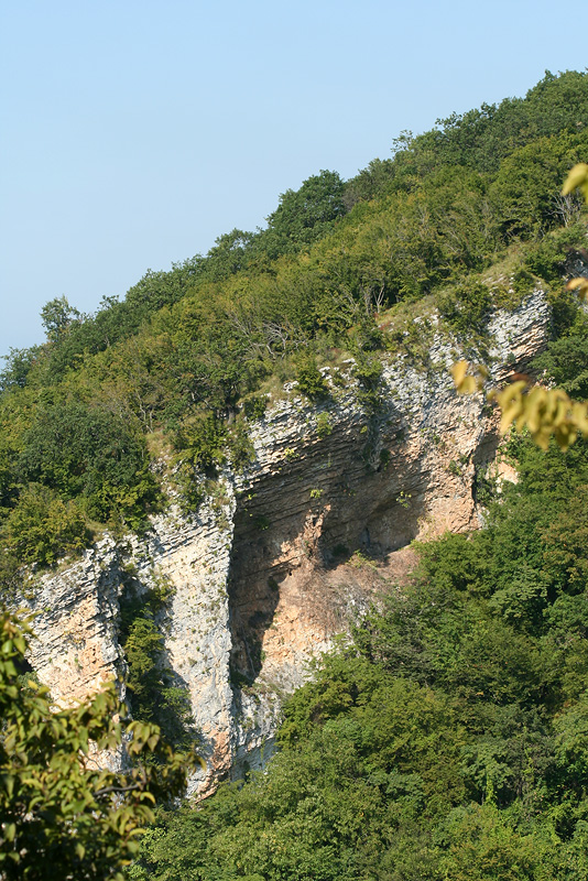 Иверская гора, image of landscape/habitat.