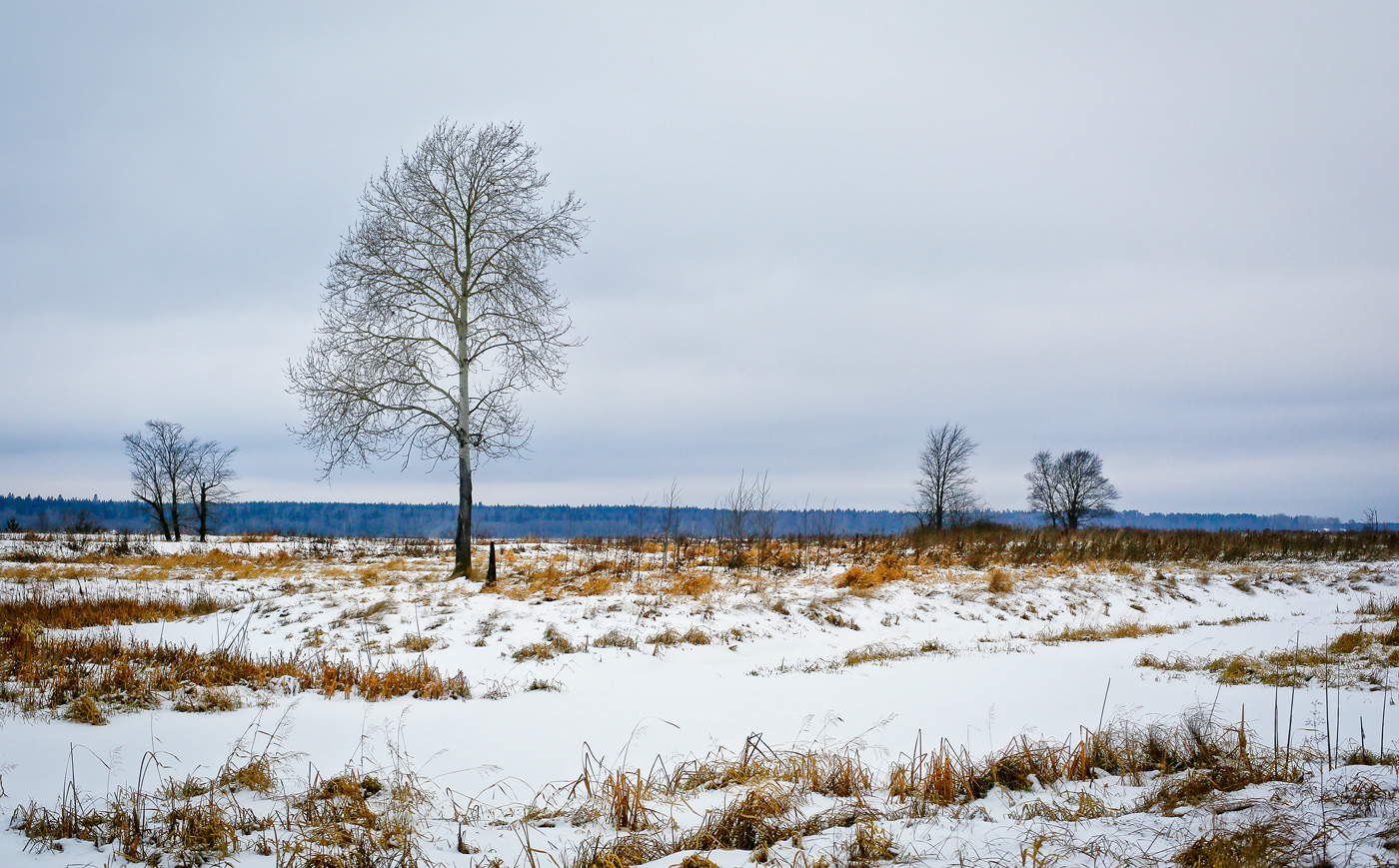 Закамск, image of landscape/habitat.