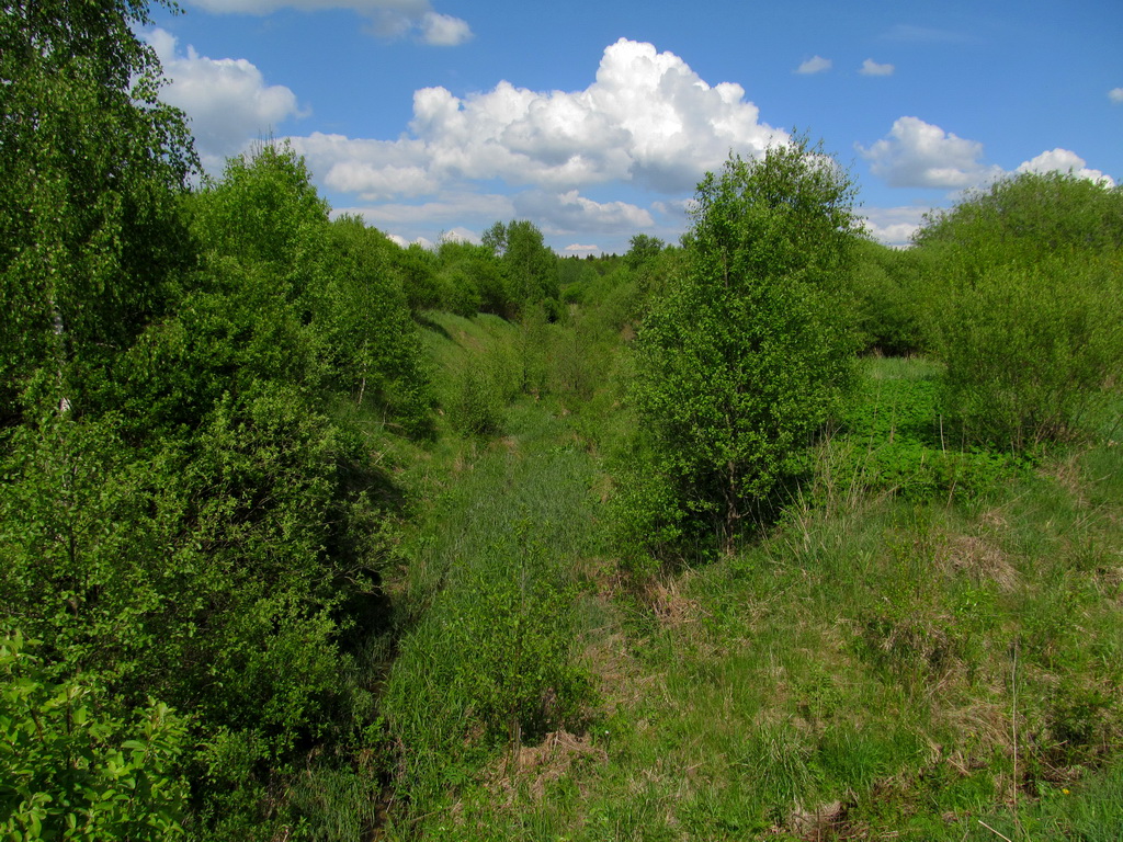 Река Мутница, image of landscape/habitat.