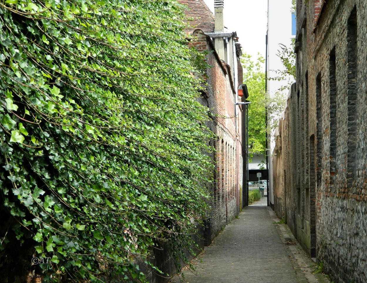 Турне (Tournai), изображение ландшафта.