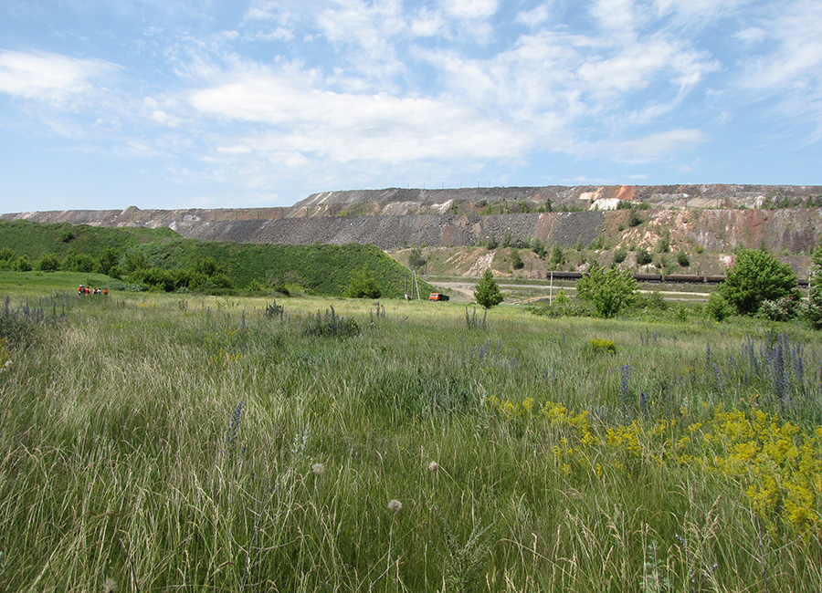 Кварцитный отвал ЛГОКа, image of landscape/habitat.