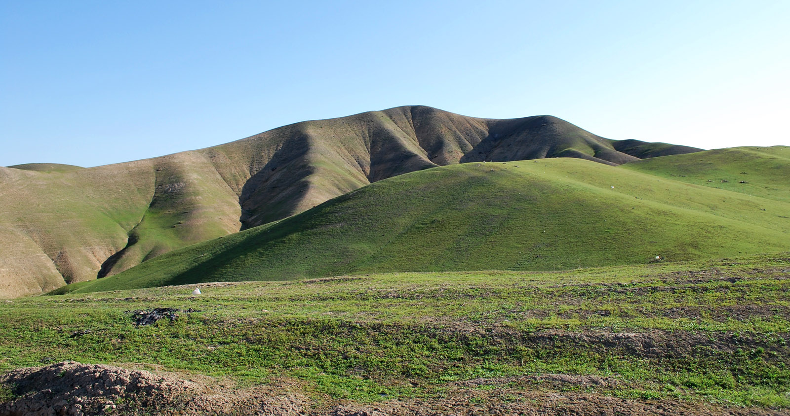 Адыры в окрестностях Андижана, image of landscape/habitat.