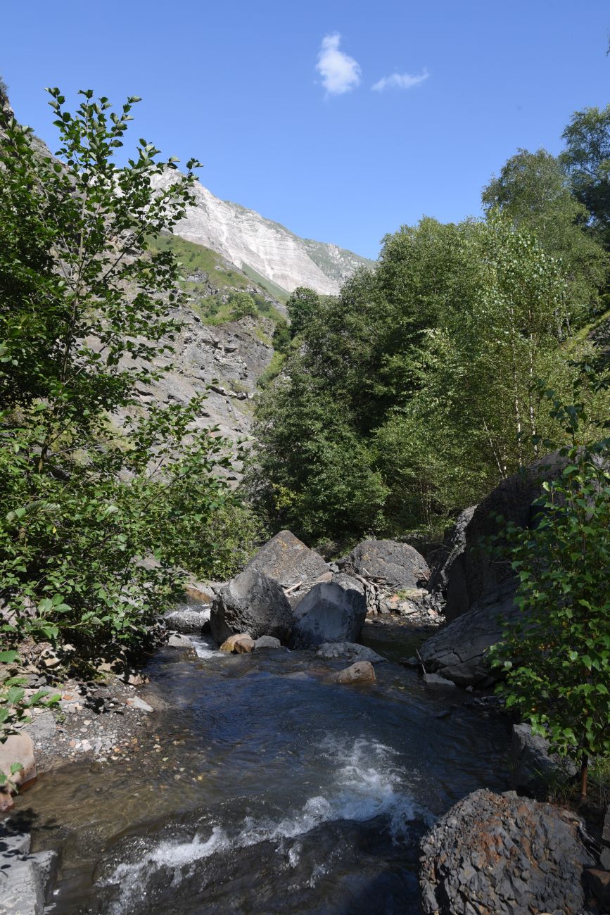Выше водопада Цеси, image of landscape/habitat.